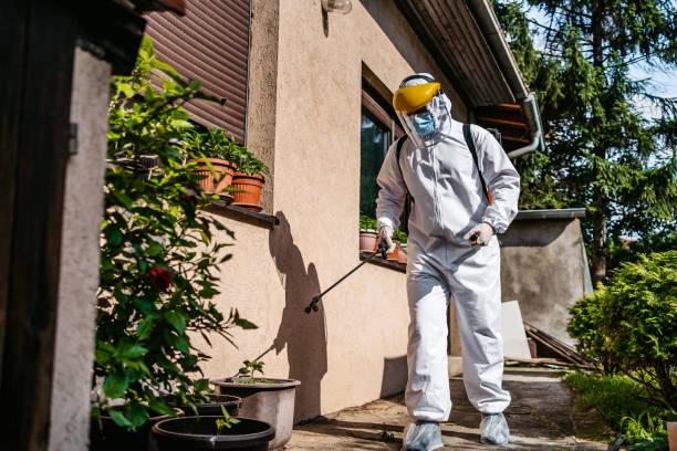 Professional Pest Control in Florence, MT