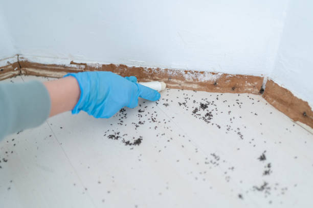 Best Best Pest Control Companies  in Florence, MT