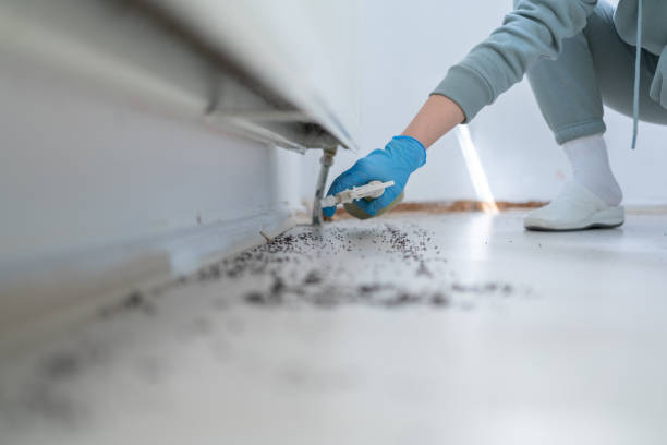 Best Affordable Pest Control Services  in Florence, MT